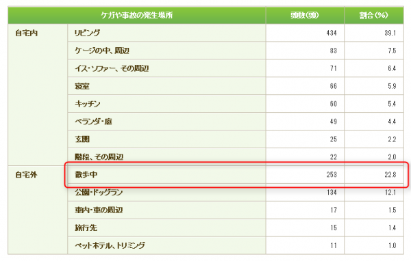 ペットの事故は散歩中がほとんど！？愛犬を交通事故から守る画期的な方法6選