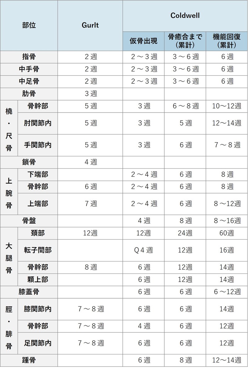 骨折　治療期間