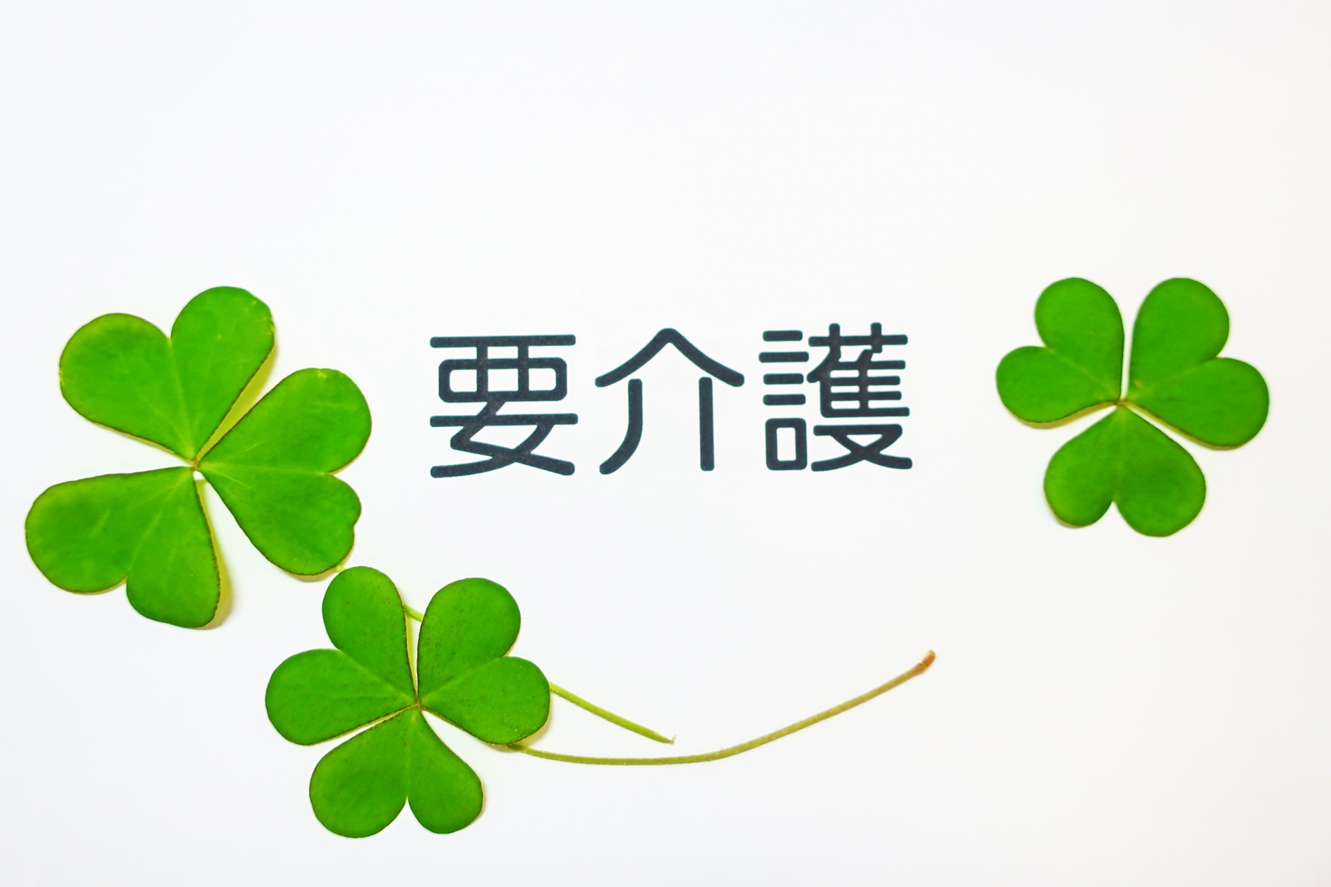 交通事故で要介護交通事故で要介護認定となってしまったら